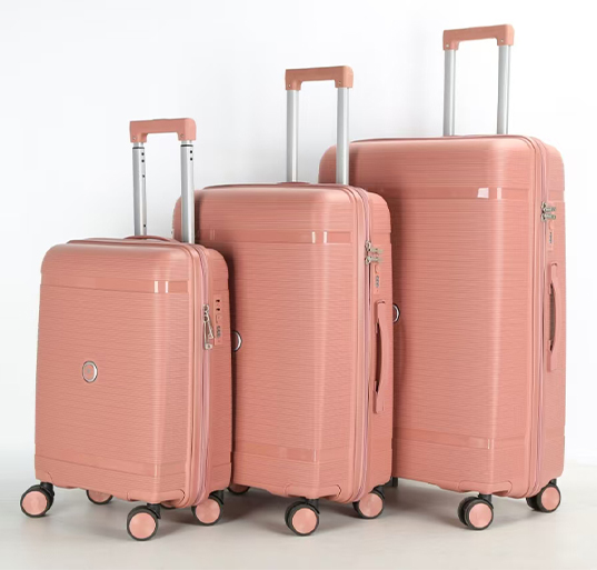 Case Study Five